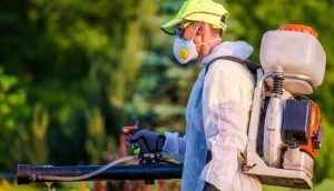 A man wearing a white protective suit and gloves is using a backpack sprayer to apply pesticides in a lush green landscape. He's wearing a respirator mask for protection and is part of an agricultural or landscaping operation.